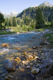 Taurach in der Gnadenalm by Lukas Kirchgasser