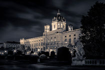 Kunsthistorisches Museum Wien by Lukas Kirchgasser