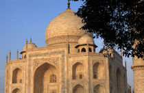 Taj Mahal In Evening Light by Aidan Moran