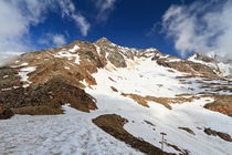 Taviela peak in Stelvio National park von Antonio Scarpi