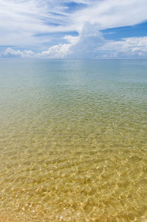 Sonne, Strand und Meer: ohne alles von Tobias Koch