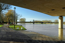 The River In Flood, Stapenhill Gardens by Rod Johnson