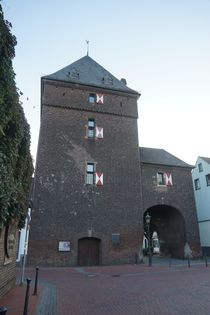 Schelmenturm 999 von leddermann