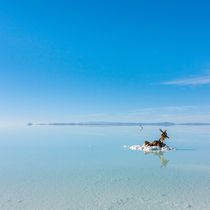 rest in peace - Salar de Uyuni von Steffen Klemz