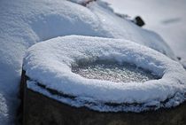 Vogeltränke im Winterkleid... von loewenherz-artwork