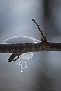 Eisprinzessin... von loewenherz-artwork