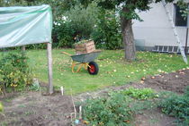 Herbst im Garten von Martin Müller