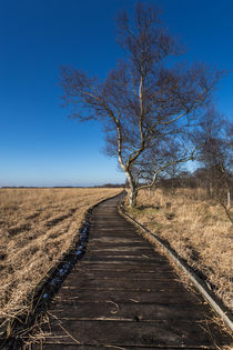 Lehrpfad Ewiges Meer / Hochformat by bildwerfer