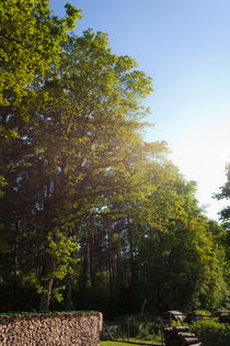 Holzstapel am Wald by gilidhor