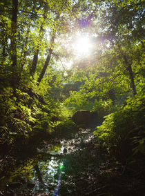 Flusslauf im Wald by gilidhor