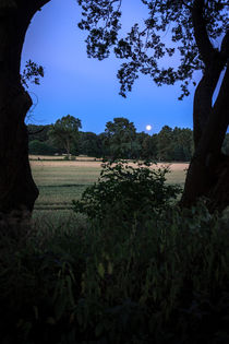 Mond über dem Feld von gilidhor