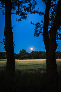 Mond über dem Feld by gilidhor