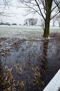 Eiskalt erwischt by leddermann