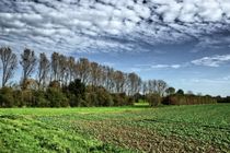 Wolkenspiele von leddermann