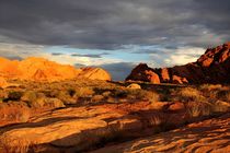 Valley of Fire 3 von Bruno Schmidiger