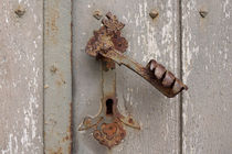 Alter Drachentürdrücker, old dragon door handle von Sabine Radtke