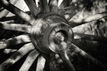 Wagon Wheel by David Hare