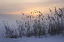 Winterabend von Thomas Matzl