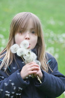 Girl with dandelion by hadot