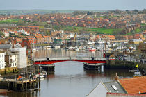 Harbour View, Whitby von Rod Johnson