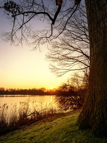 Blick auf den Berger See by Daniel Heine