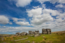 Dartmoor Tor von David Hare