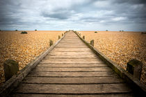 Dungeness Beach Walkway by David Hare