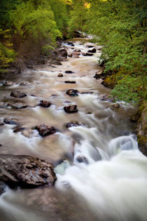 Welsh Rapids by David Hare