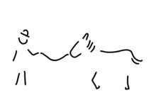 reiter pferdewirt pferd von lineamentum