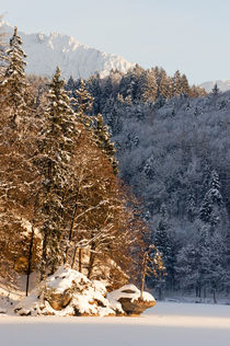 Letztes Licht am Bergsee II von Thomas Matzl