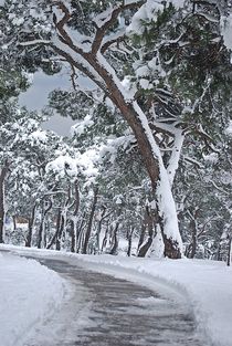 Istanbul winter... 7 von loewenherz-artwork