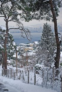 Istanbul winter... 3 von loewenherz-artwork