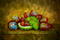 Conker Season by David Hare