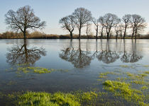 Reflections in flood water by Pete Hemington