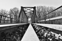 bridges by Falko Follert