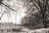 Winter Landscape von Hanns Clegg