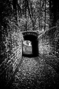 Secret walkways by David Hare
