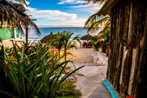 Beach on the Pacific by Lev Kaytsner