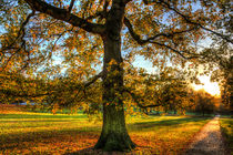 Greenwich Park London by David Pyatt