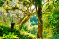 Parque Nacional Sierra de Escambray von Christian Behring