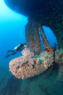 Wreck of SS Turkia by Norbert Probst