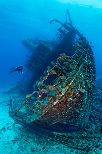 Wreck of Giannis D by Norbert Probst