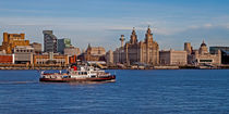 Royal Iris on the Mersey by Roger Green