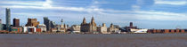 Liverpool Skyline by Roger Green