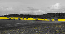b&w with yellow by Thomas Matzl