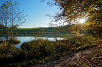 Herbstlicher Abend am See von Thomas Matzl