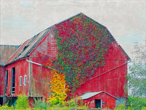 585 Barn by Gena Weiser