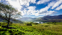 Ladies View Killarney by Daniel Heine