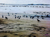 Beach in Galicia von Carlos Segui