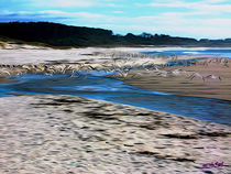 Gulls on the Beach VIII von Carlos Segui